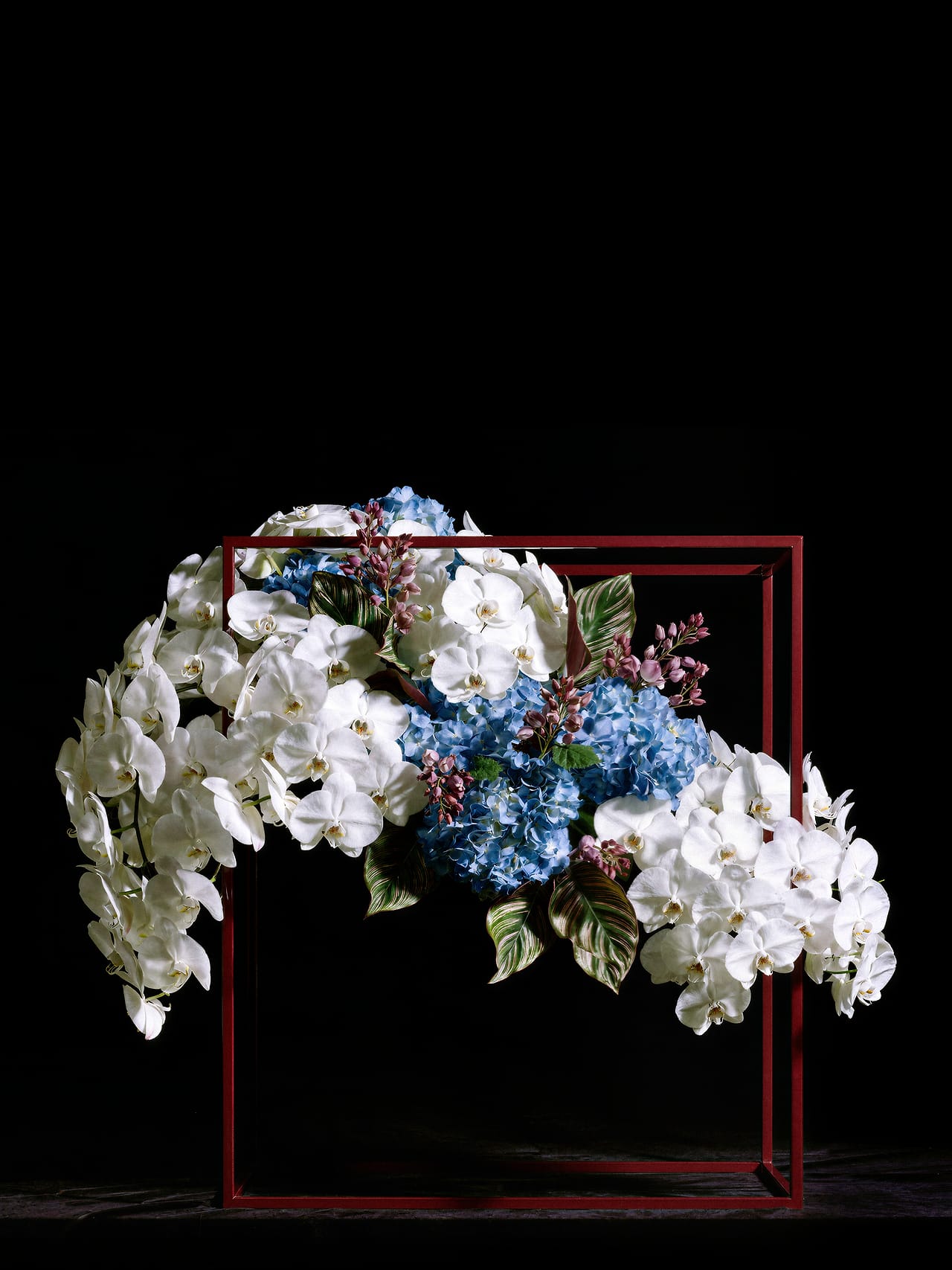 Calamai bloemsculptuur met witte orchideeën en blauwe hortensia's in rood stalen frame.